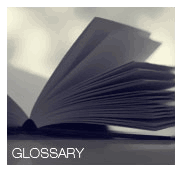 Glossary